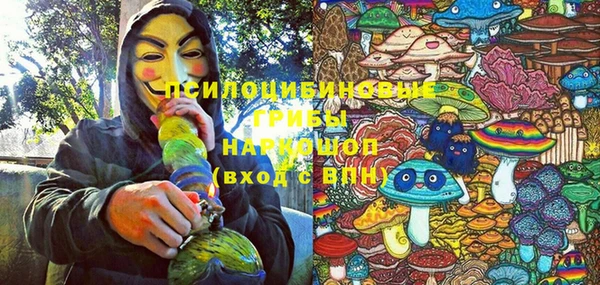 ешки Нея
