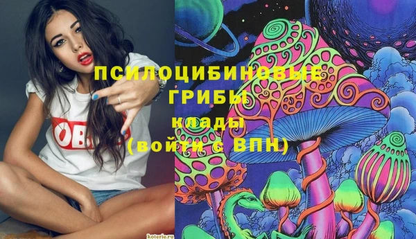 2c-b Новозыбков